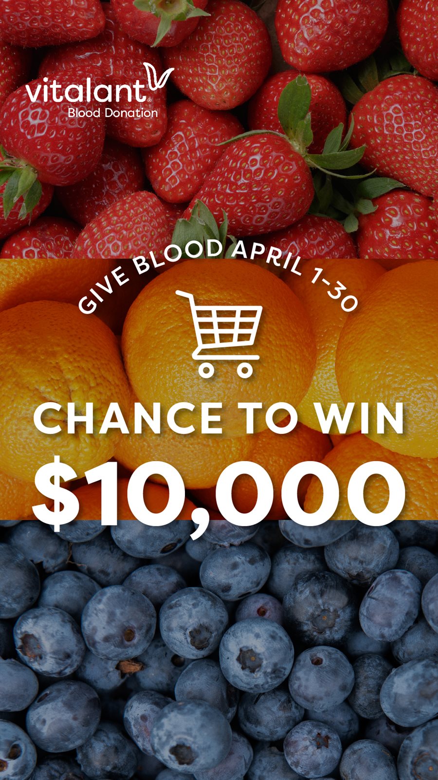 Blood Drive Image