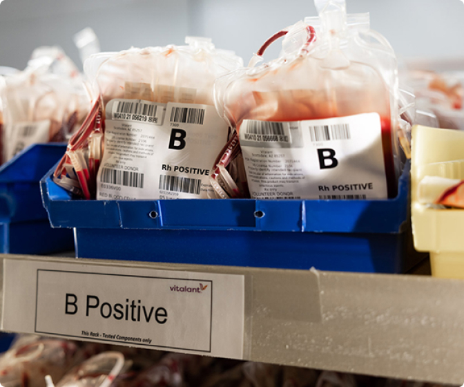 B-Positive-Blood