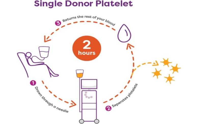 Single-platelet.png