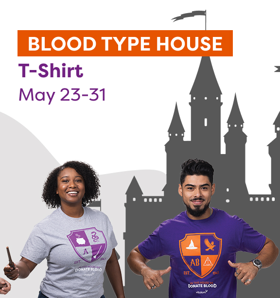 Blood Type House Tee Hero
