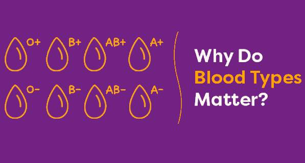Graphic of all blood types