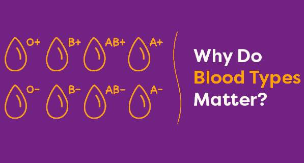 Graphic of all blood types