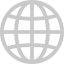 Globe/WWW Icon