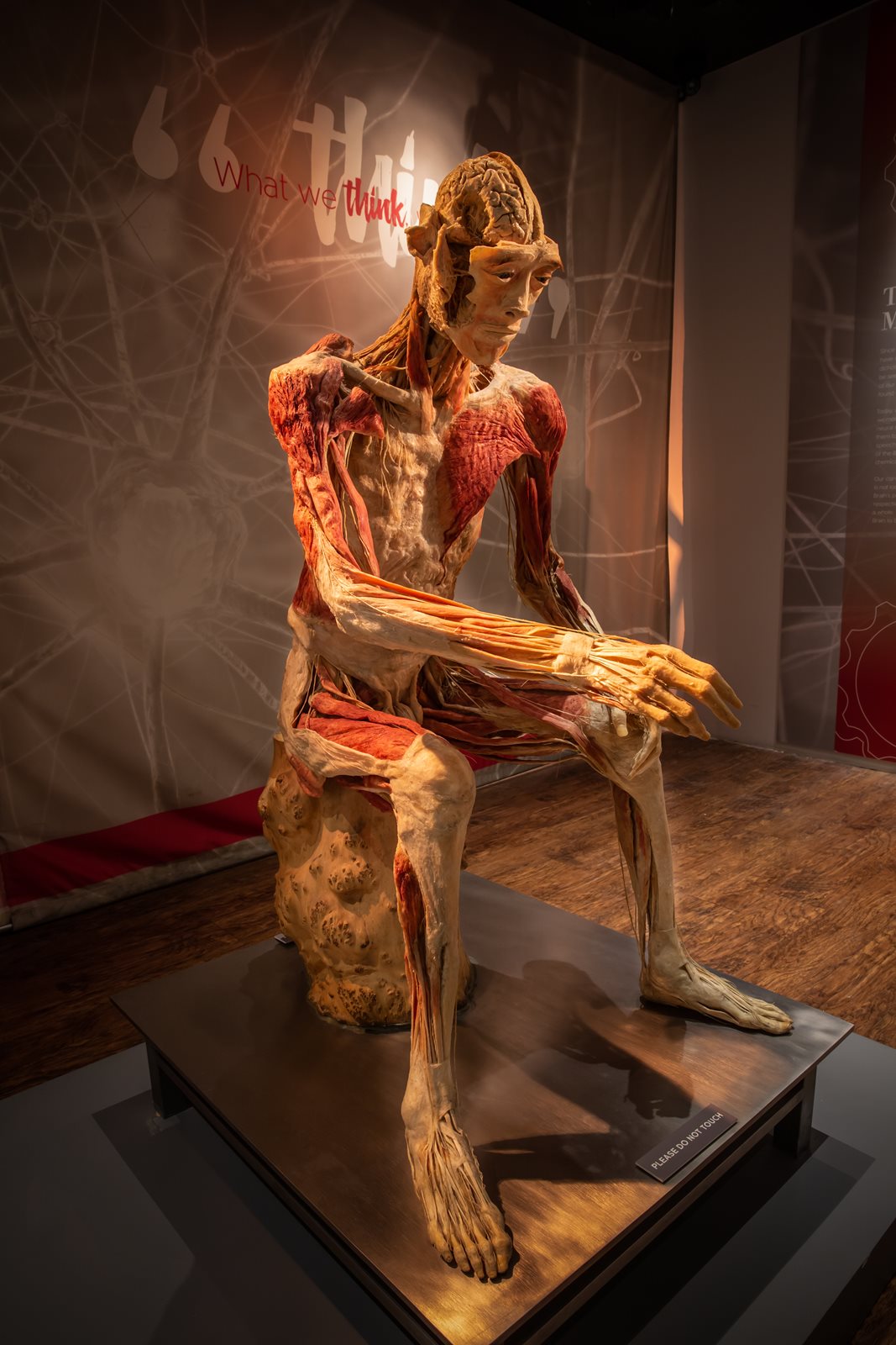 20230508_Real-Bodies_0336.jpg 20230508_Real-Bodies_0336.jpg