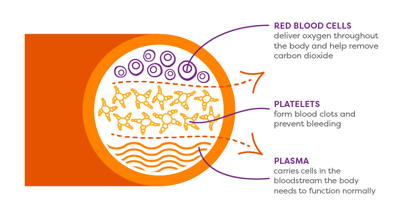 Platelet-large-graphic.png