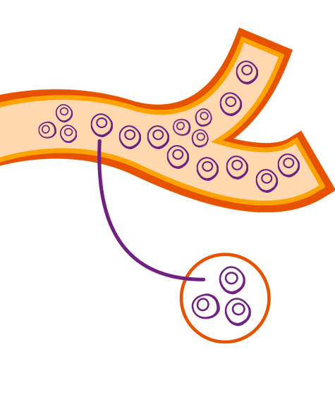 Healthy-Disc-Diagram.jpg Healthy-Disc-Diagram.jpg