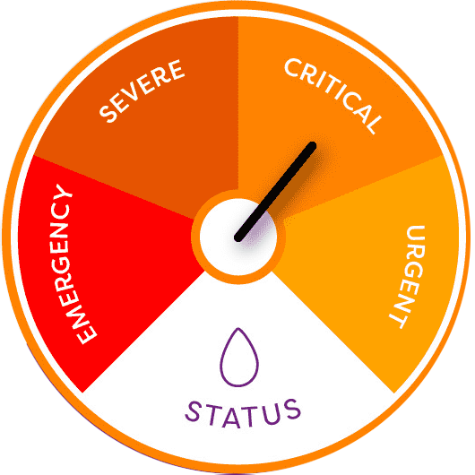 O-positive (O+) Blood Type